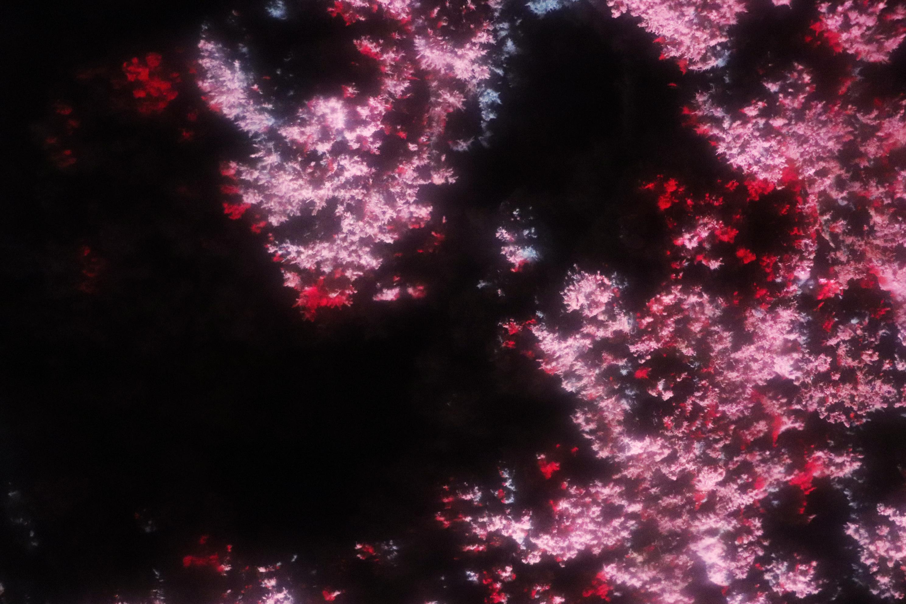 福彩3D资料库深度解析与应用指南，高手图形大全